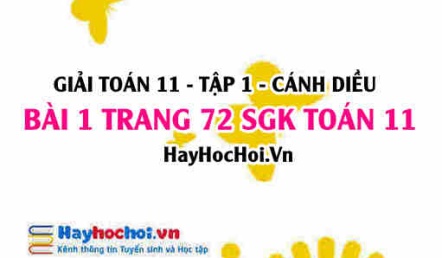 Giải bài 1 trang 72 Toán 11 tập 1 SGK Cánh Diều